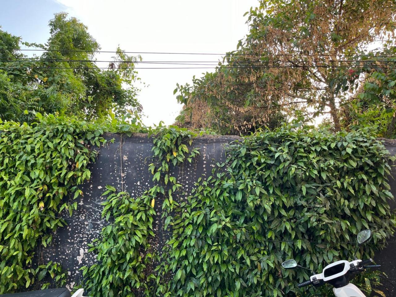 Nirman Homestay 5 Minutes Walk To Beach Puri Esterno foto