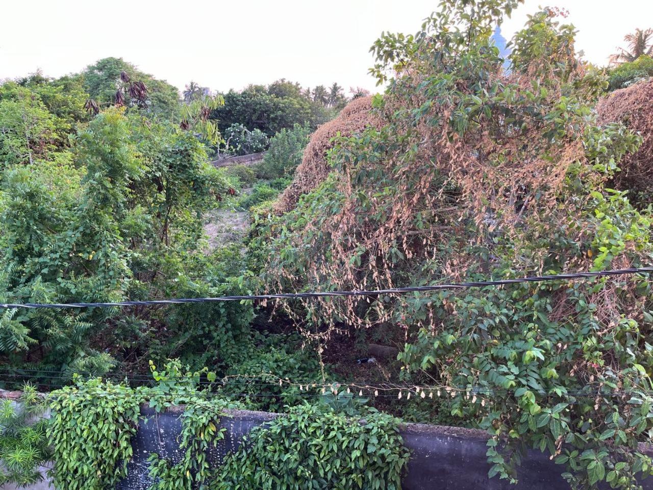 Nirman Homestay 5 Minutes Walk To Beach Puri Esterno foto